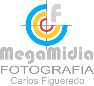 MEGAMIDIA CLARA VERT.png